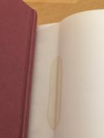 För en långt avlägsen framtid : en bok om Wilhelmina von Hallwyl